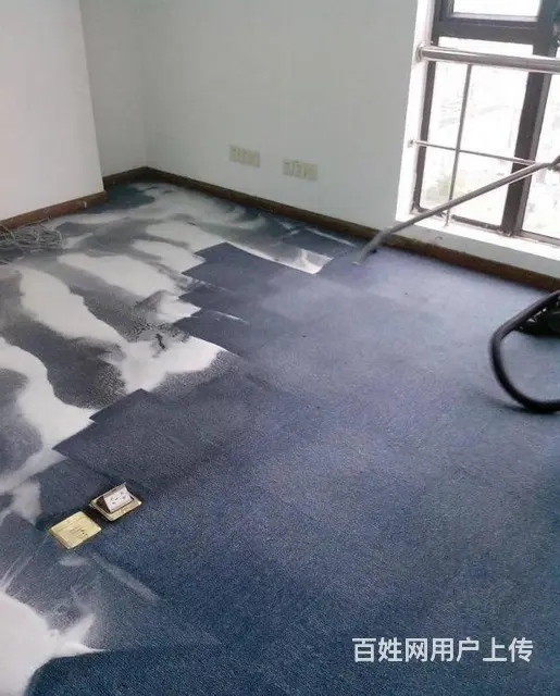 苏州专业地毯清洗 羊毛纤维地毯清洗 地毯除螨吸尘 - 图片 5