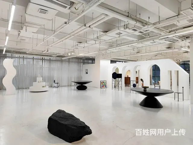 省体育馆旁！商业可打店招！整层大开间！摄影展厅艺术风格！ - 图片 6