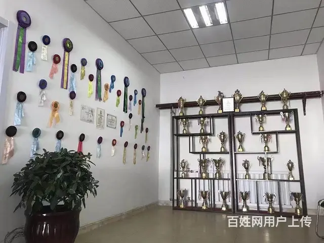 专业宠物训练 行为纠正 护卫犬 影视犬 工作犬训练 - 图片 5