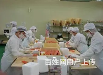 出国劳务澳大利亚采矿工矿区司机直招高薪岗位 - 图片 5