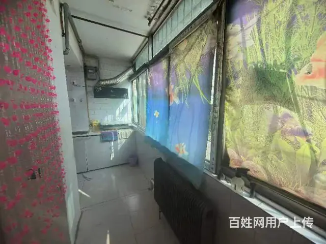 出租 - 图片 1