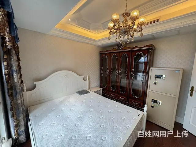 高层看沙湖 万达御湖世家 高端人士聚集 大平层 楚 - 图片 11