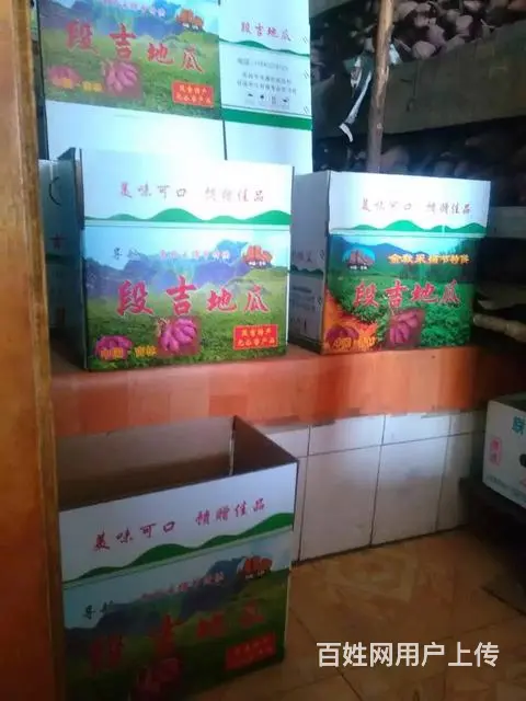 自家种的正宗段吉地瓜 - 图片 3