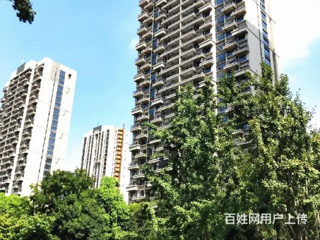 杭州萧山_恒大帝景_1室_合租朝南_晨晖路与育才路 - 图片 8