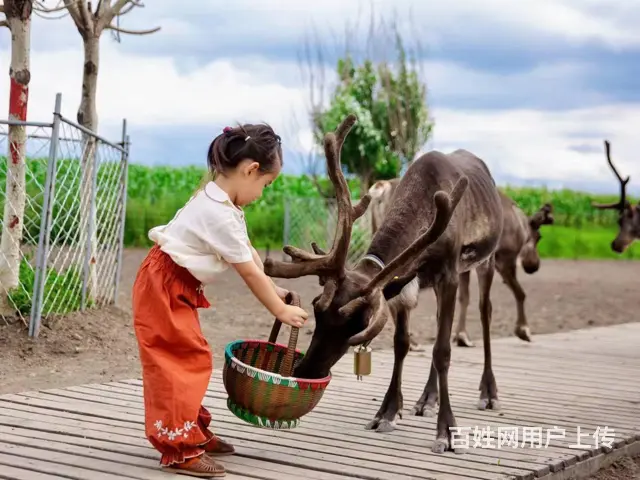 呼伦贝尔满洲里多少钱别克商务车 - 图片 2