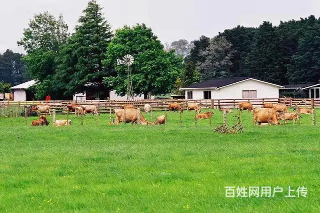 办理出国劳务工作签证申请申请 欢迎咨询 - 图片 3