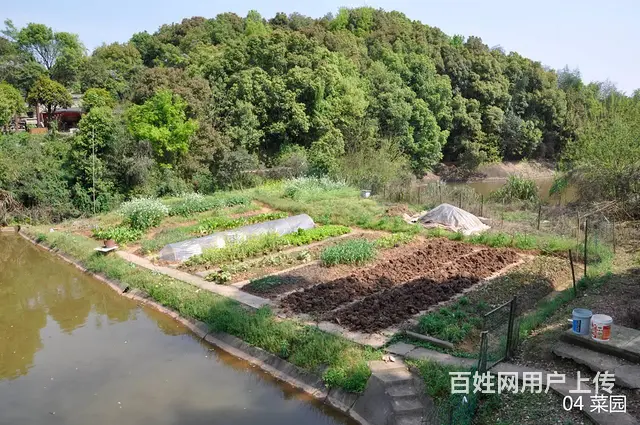 新韶山南路附近的自建房屋等场所出租 - 图片 4