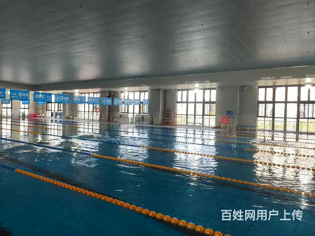 集美游泳学游泳外国语学校旁 - 图片 1