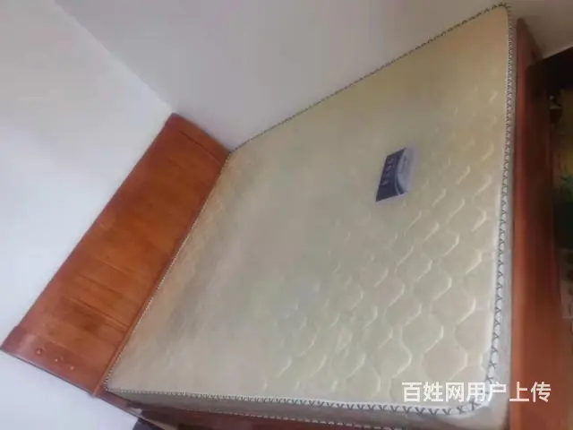 专业墙地面拆除，旧家具清运，打地板清运垃圾 - 图片 4