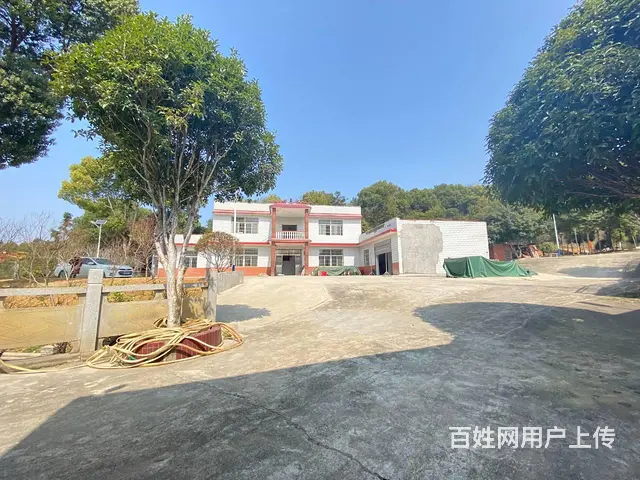 (房东直租)汉回捞建路1000平独院场地带整栋房屋优价出租 - 图片 6