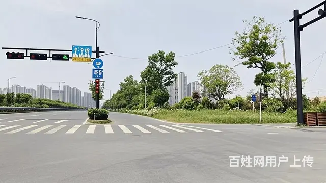 萧山新街17亩场地出租（可分租） - 图片 3