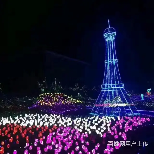 绍兴网红打卡灯光展出租 灯光展厂家 - 图片 11