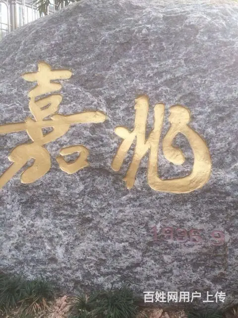 高精端商务画册彩盒手提袋印刷工厂 - 图片 4