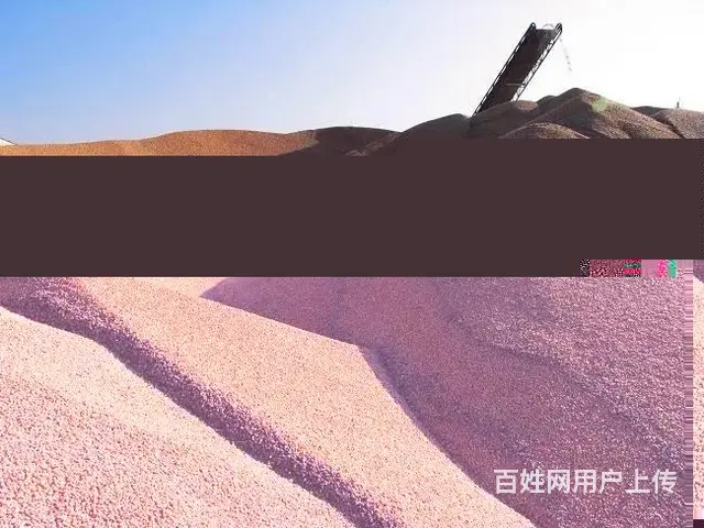 徐汇收购二等玉米公平公正 - 图片 1
