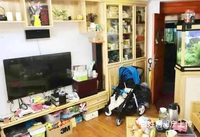 金湖雅苑 东南向 合成照万劫运营  作弊小主人捕猎 - 图片 3