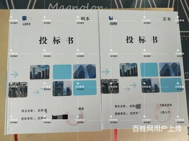 代写标书 工程、服务、采购 - 图片 4