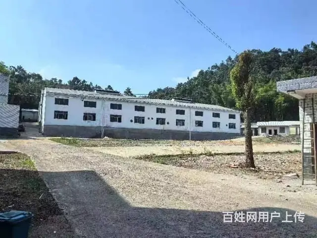 （老板本人）宁乡金洲区正规厂房办公楼出租  6330 - 图片 1