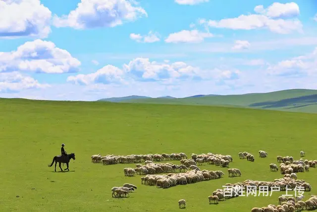 呼伦贝尔包车服务，呼伦贝尔包车价格 - 图片 1
