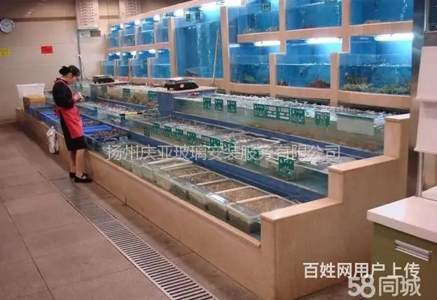 扬州【庆亚】江都仪征海鲜玻璃鱼缸测量定做安装 - 图片 11