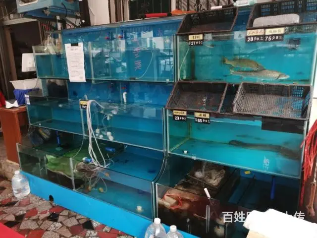 蜀山区青阳路贵池路交叉口附近盈利水产百货旺铺转让 - 图片 3