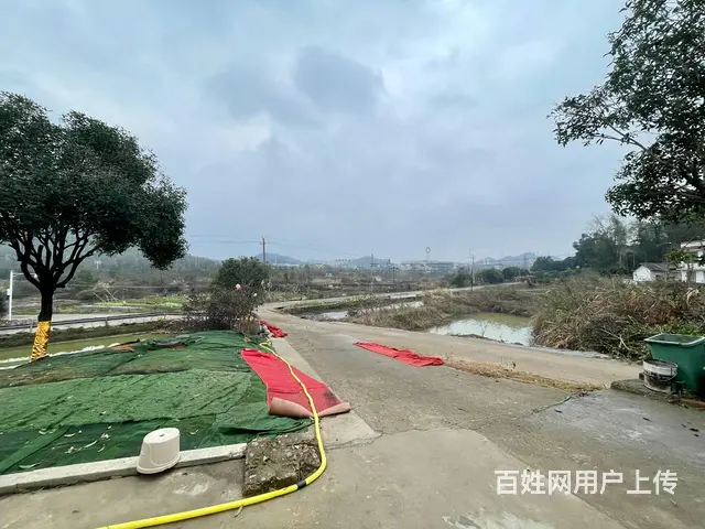 （老板本人）望城区河西汽车城独门独院厂房/仓库出租 6026 - 图片 4