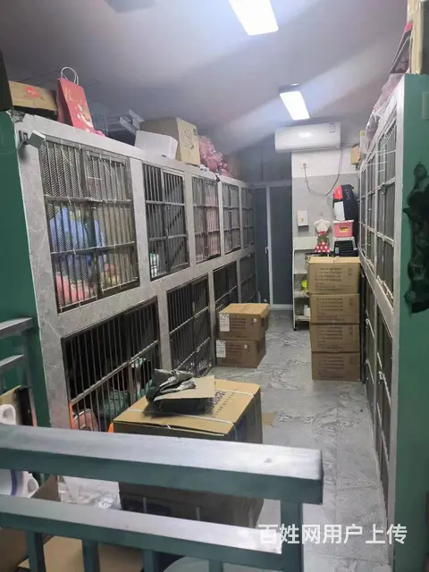 临平区嘉丰万悦城120平宠物店转让 - 图片 7