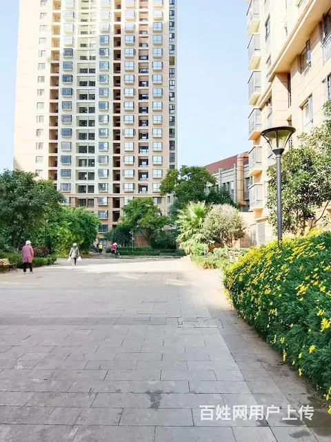 整租 吴井路 城市理想旁拓东大城精装一房拎包入住采光采阳充足 - 图片 8