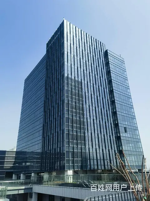 鲸丰全新写字楼出租 45平到2000平都有 纯办公 环境好 - 图片 4