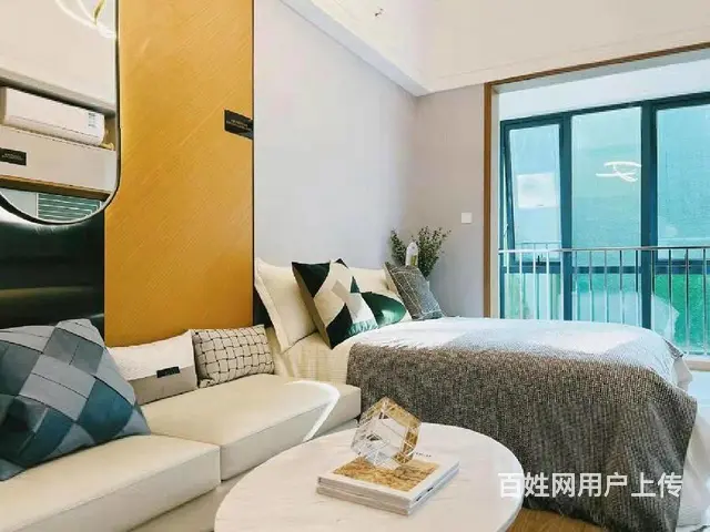 精装特惠红梅公园弘阳26万起的公寓水电民用楼下弘阳广场 - 图片 6