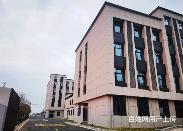 (麦子邦面费找店)房东直租,全新厂房大空间,可整租可分租! - 图片 2