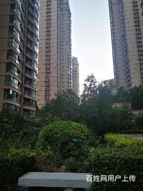 按摩男士理疗仪 - 图片