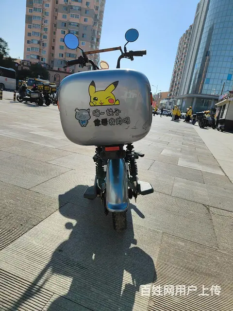 【搞定了！】小刀电动车4820电瓶 - 图片 5