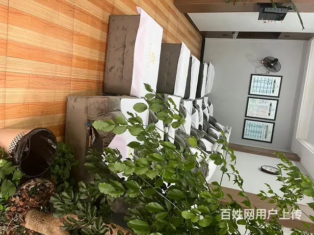 宝甲堂修脚采耳馆 - 图片 2