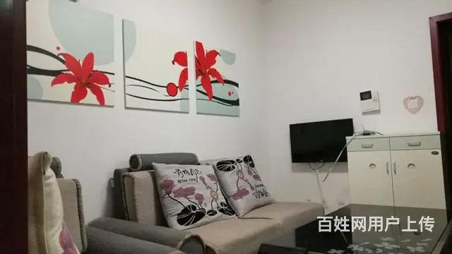 标准一室一厅一卫拎包入住 - 图片 2