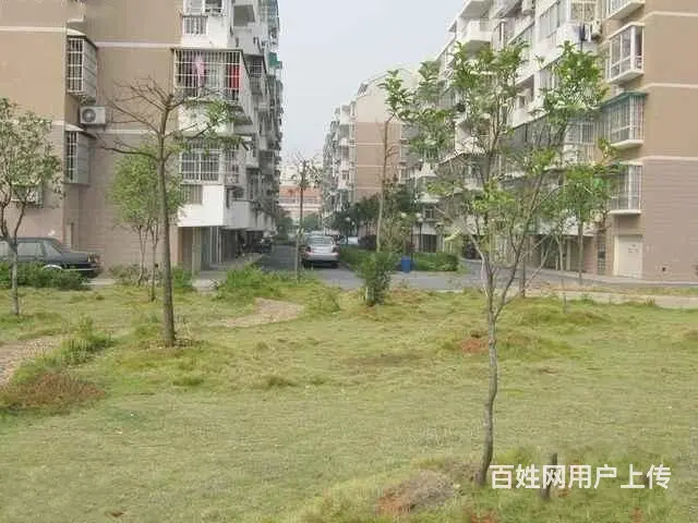 星邮小区三室二厅出售 - 图片 2
