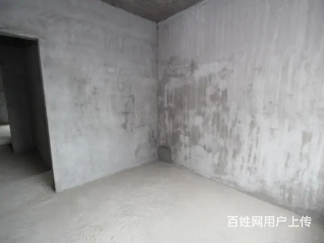 一 中 庐郡英华电梯中层南北通透挑空复式楼 观江景湖景 - 图片 10