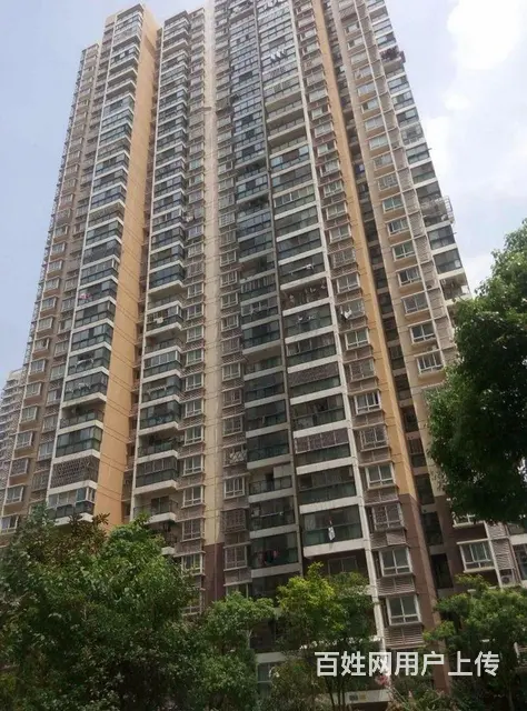 4号线中南医院 居家大两房 汉街直达青鱼嘴襄阳大厦 - 图片 9