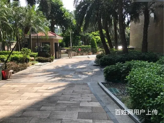 吉大 九洲钟学旁 景山一号 精装3房2卫 有车位 - 图片 11
