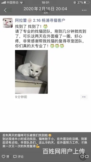 苏州猫咪丢了怎么找 专业找猫寻狗团队来帮你 - 图片 5