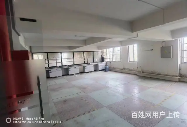 （老板本人）麓谷企业广场园区标准厂房/仓库优价出租，一楼 - 图片 7