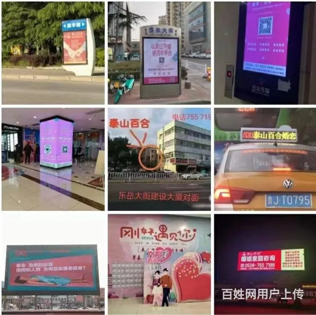 泰山百合婚介诚招加盟商 - 图片 1