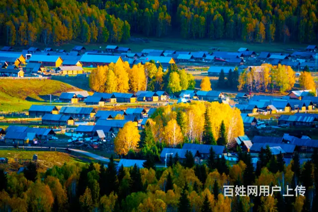 【纯玩无购物】喀纳斯+禾木双飞3日游（乌鲁木齐起） - 图片 4