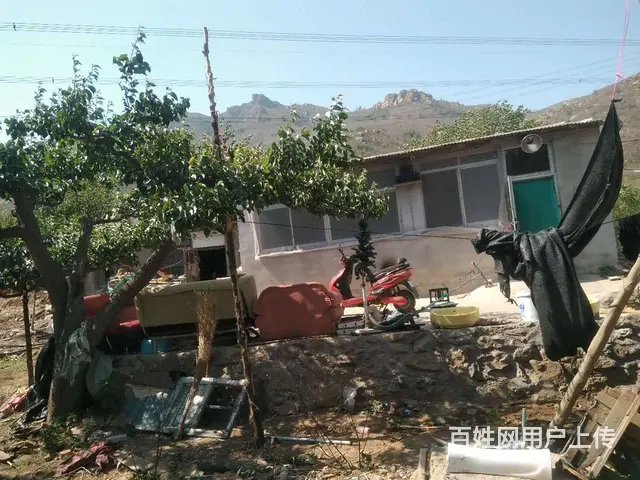 【搞定了！】60亩果园整体招商 - 图片 4