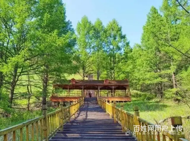 呼伦贝尔旅游租车包车师傅巴特尔诚信推荐 - 图片 1