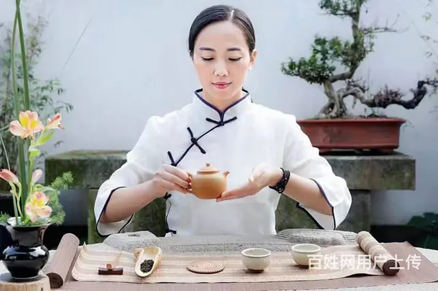 茶艺师培训 - 图片 3