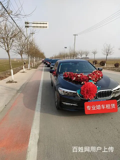 专业婚车租赁 - 图片 4