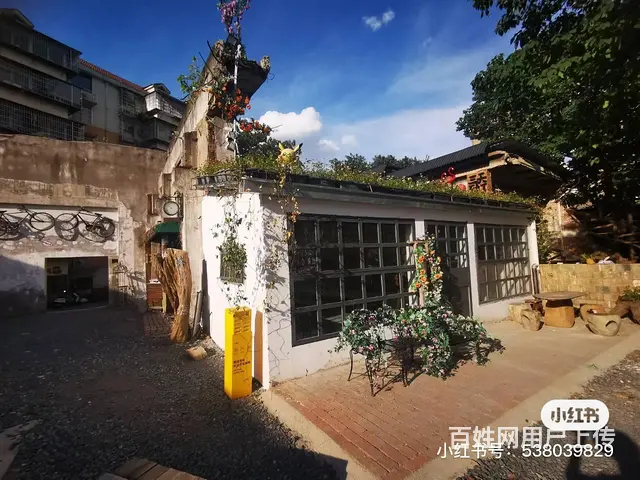 百万富翁孵化地 - 图片 6