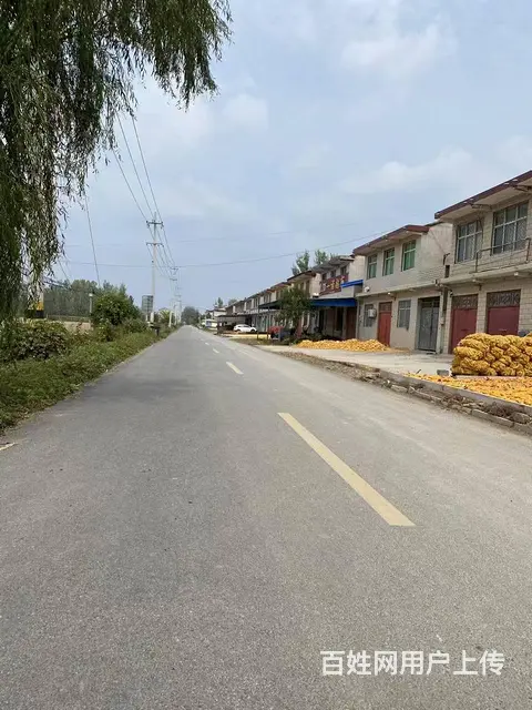（城市在线找房免费）张集房村附近标准钢结构厂房出租 - 图片 5