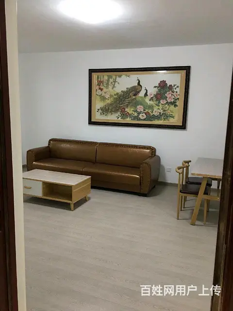 大商城市乐园3室2厅精装修设施全 - 图片 1