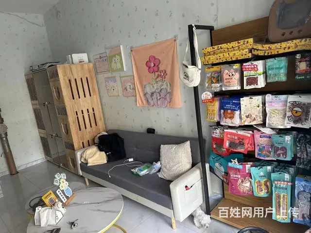 道里宠物店出兑 宠物用品商铺转让 - 图片 3